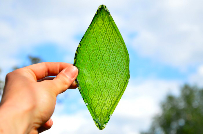 BioSolar Leaf sta pulendo l'aria